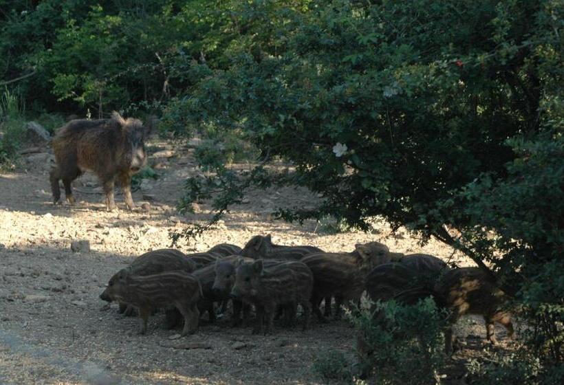 Agriturismo Bio Le Macchie Alte