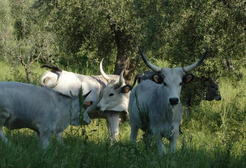 Agriturismo Bio Le Macchie Alte