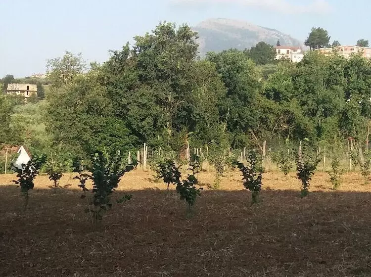 Aamiaismajoitus (B&B) L Arcadia