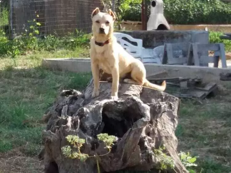 Aamiaismajoitus (B&B) L Arcadia