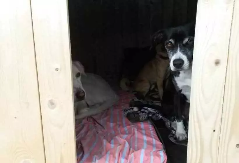 Aamiaismajoitus (B&B) L Arcadia