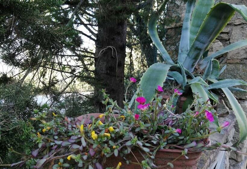 교외 호텔 Le Casette