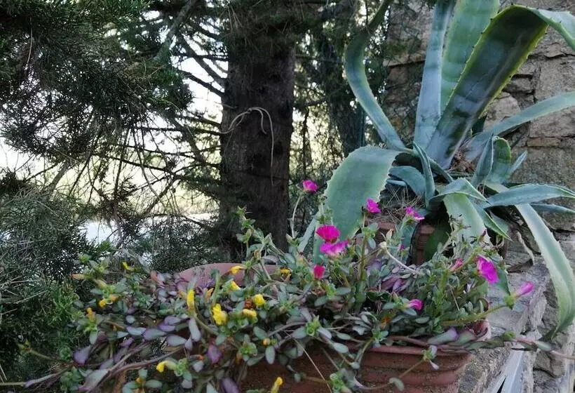 Maaseutuhotelli Le Casette