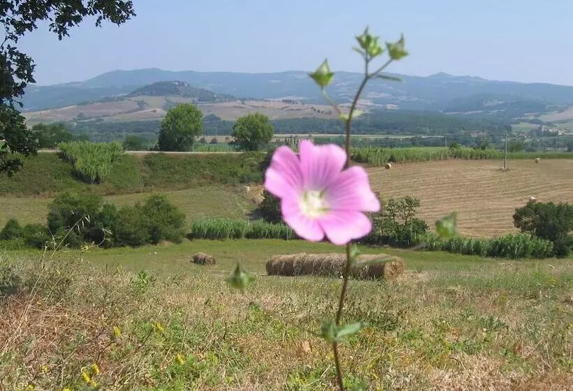 Maaseutuhotelli Le Casette
