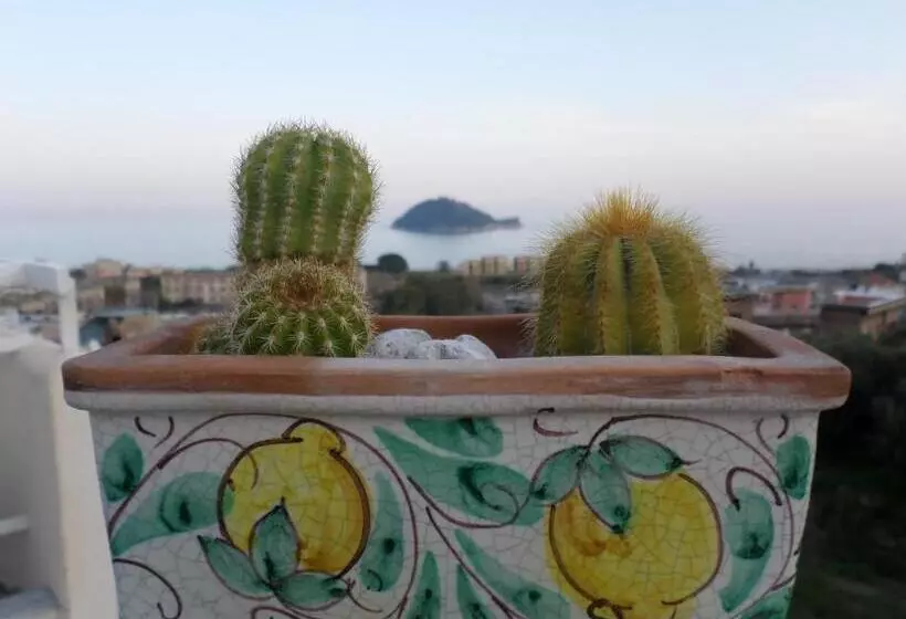 Ventoverde B&b