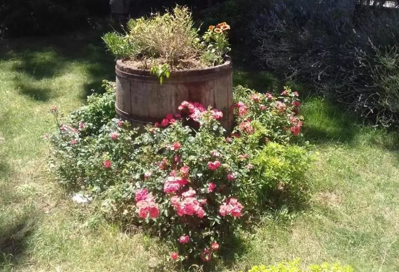 B&b Casa Losea