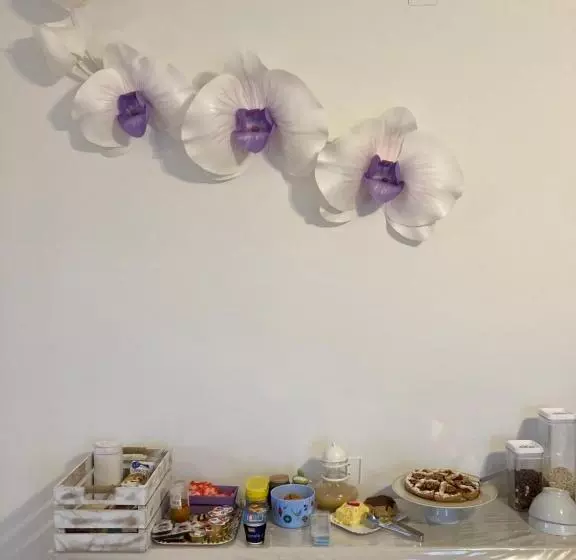 B&b Casa Losea