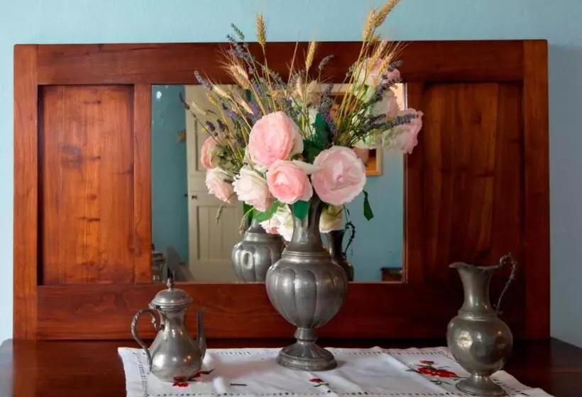 Antica Vigna Bed & Breakfast