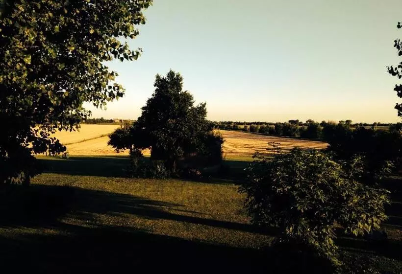 Antica Vigna Bed & Breakfast