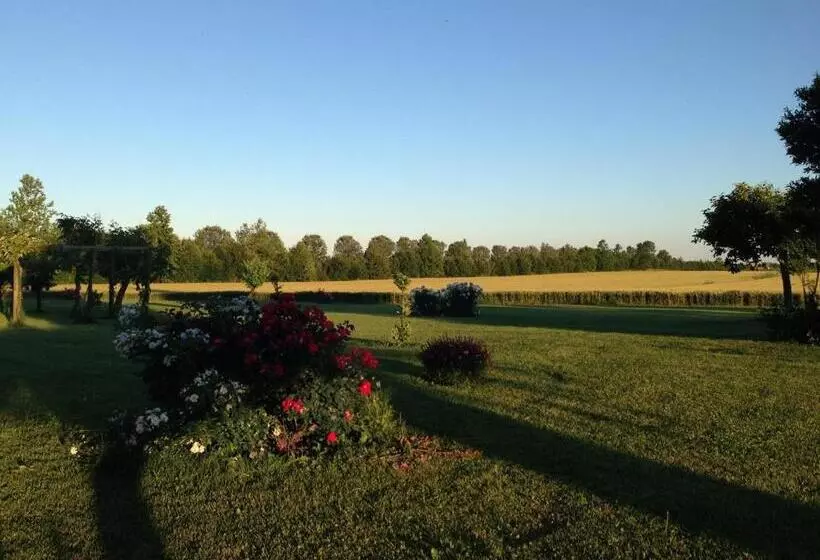 Antica Vigna Bed & Breakfast