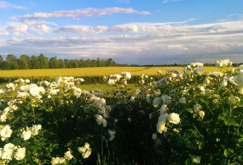 Antica Vigna Bed & Breakfast