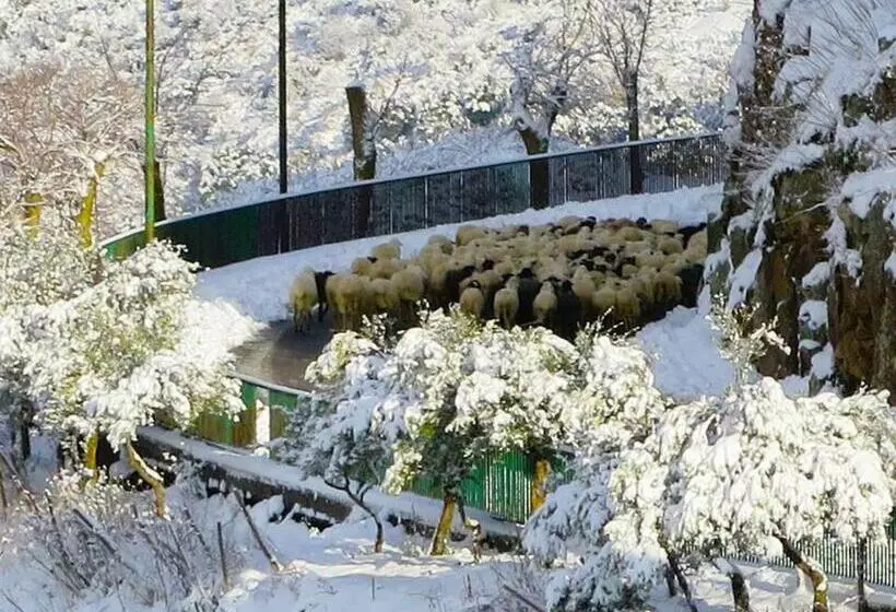 Aamiaismajoitus (B&B) Porta Baciamano