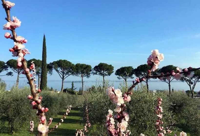 Maaseutuhotelli Agriturismo Nonna Bettina