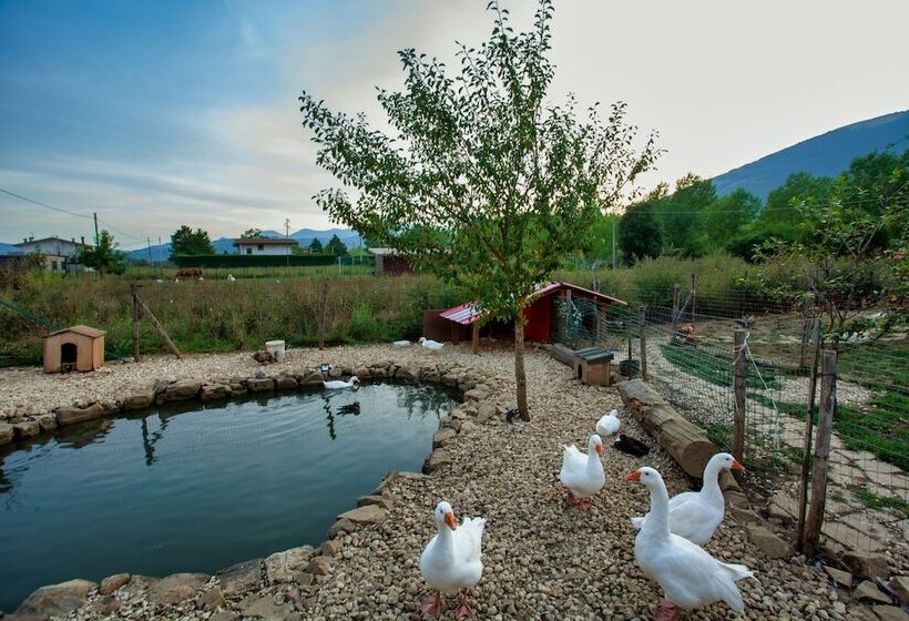 فندق ريفى Il Vecchio Pollaio