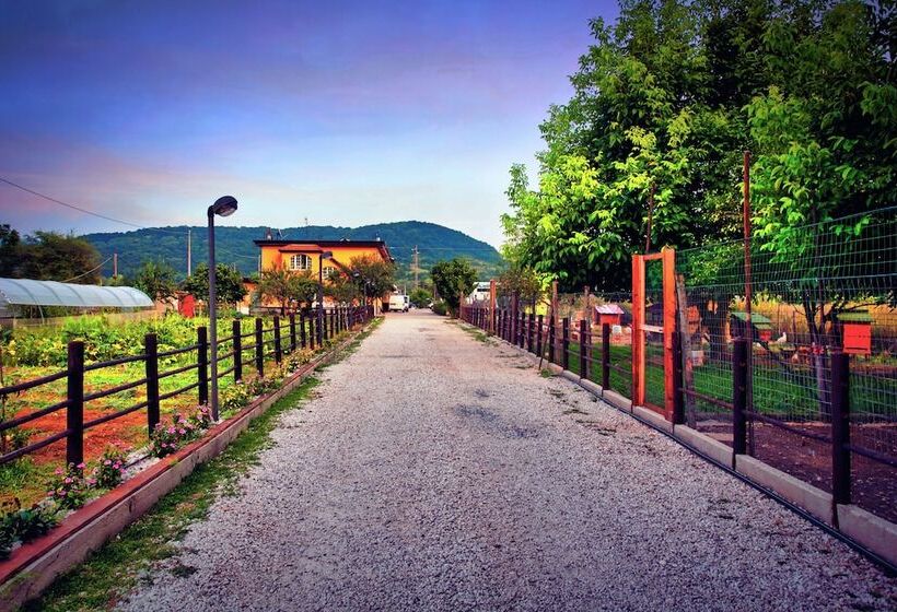 فندق ريفى Il Vecchio Pollaio