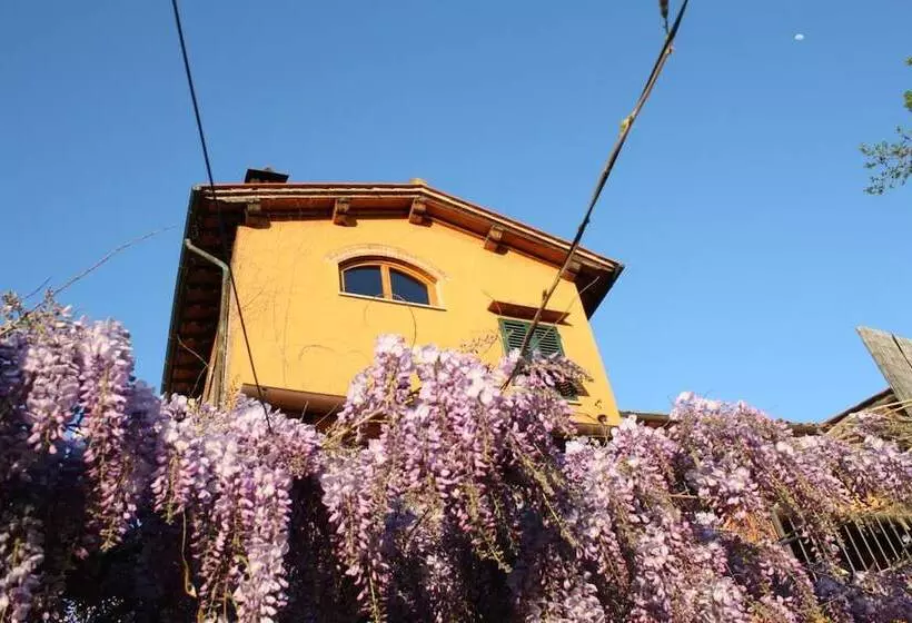 Il Maraviglio Bed & Breakfast