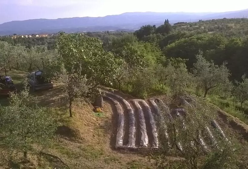 Il Maraviglio Bed & Breakfast