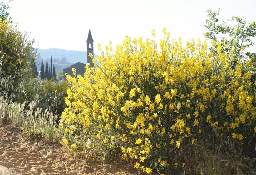 Il Maraviglio Bed & Breakfast