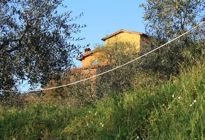 Il Maraviglio Bed & Breakfast