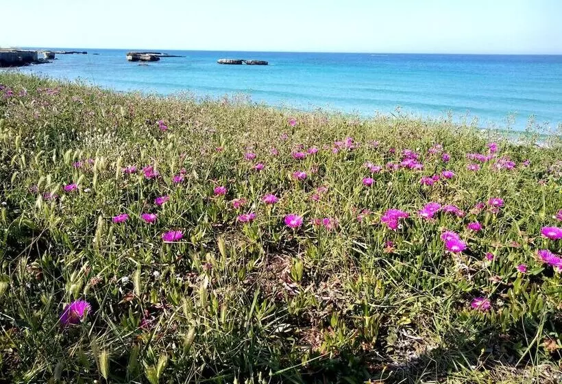 Li Perrini Boutique B&b