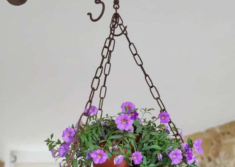 Li Perrini Boutique B&b