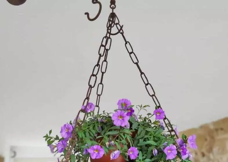 Li Perrini Boutique B&b