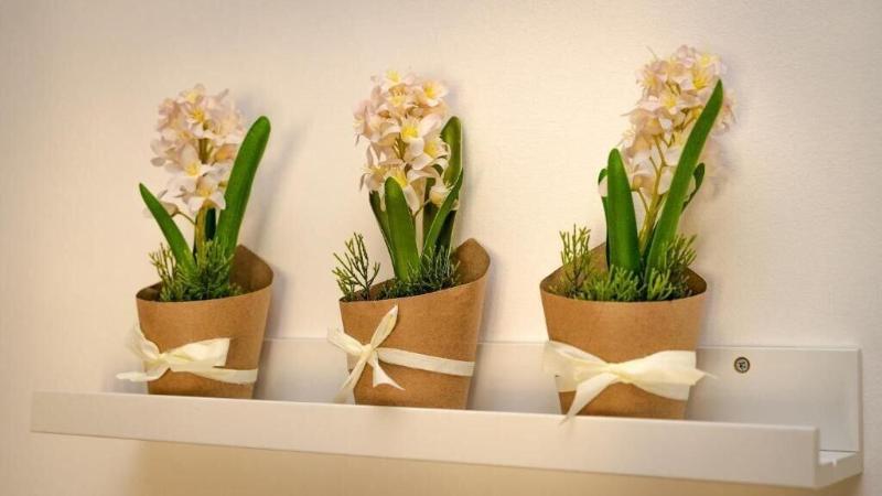 Pension Cconforthotels R&b Semplici Emozioni   Self Check In