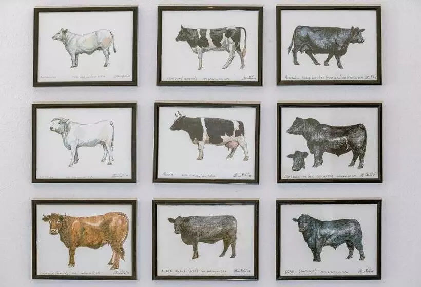 Aamiaismajoitus (B&B) Giaminera Rooms & Art Studio