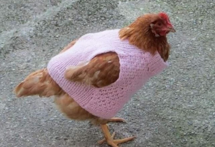 민박 La Casina Del Prete