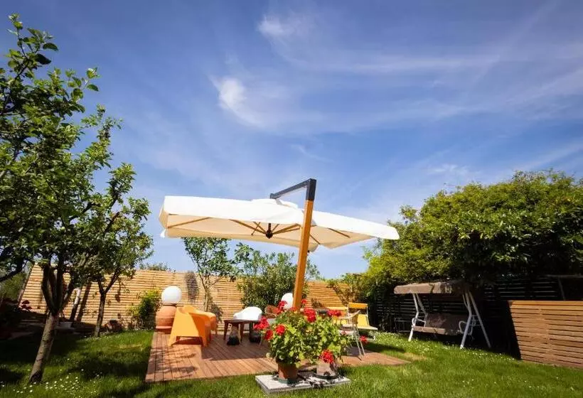 Cascina Vecchia Alpacas B&b