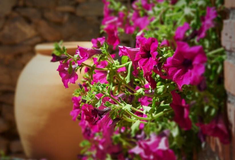 乡村酒店  Aire De Ruesga