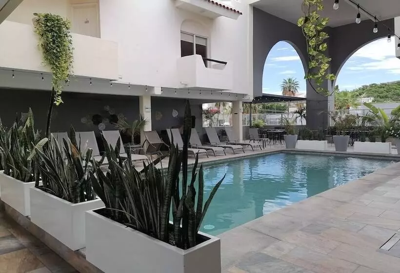 فندق Suites Las Palmas
