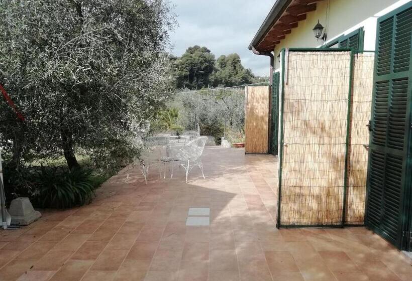 בית מלון כפרי Agriturismo Green House