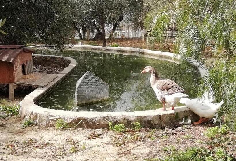 בית מלון כפרי Agriturismo Green House
