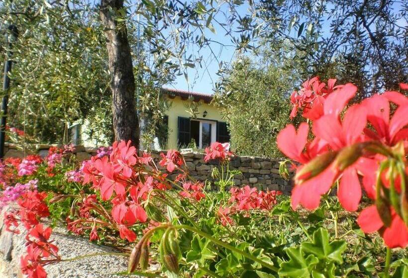 בית מלון כפרי Agriturismo Green House