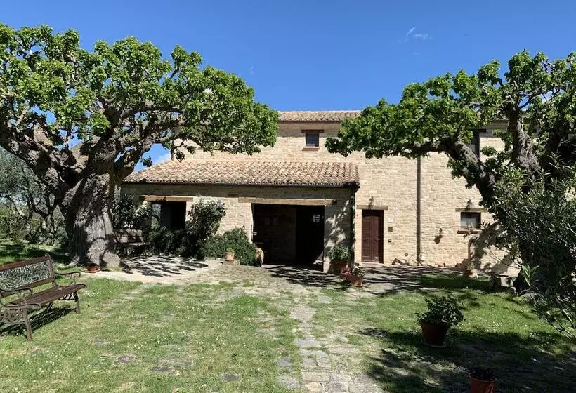 田舎風ホテル Agriturismo I Mori