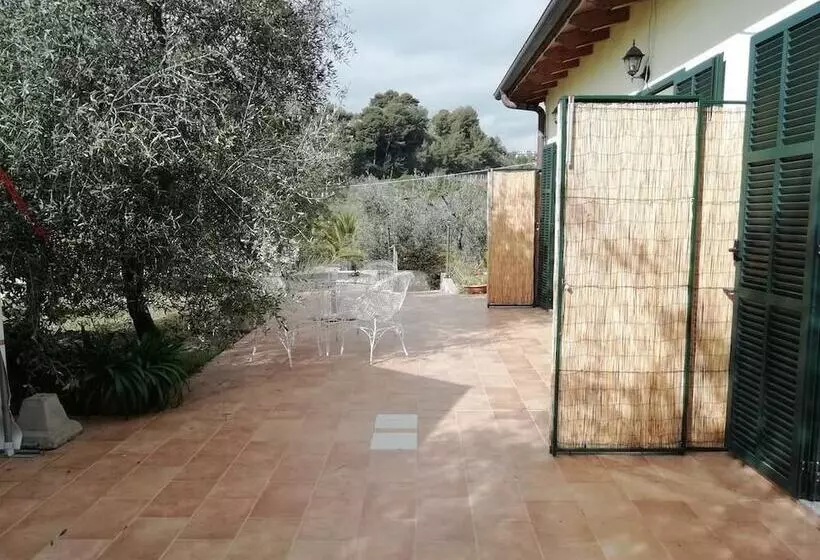 田舎風ホテル Agriturismo Green House