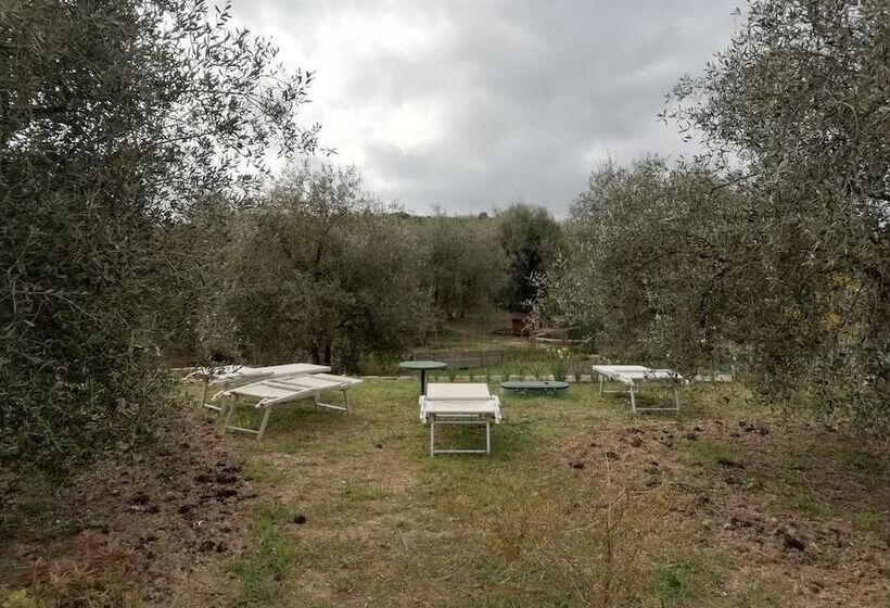 בית מלון כפרי Agriturismo Green House