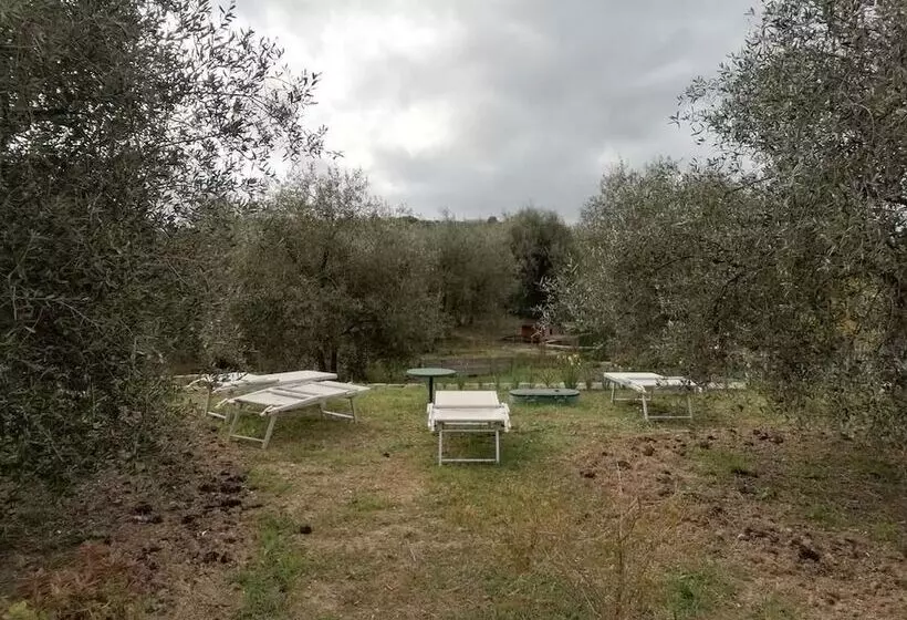 田舎風ホテル Agriturismo Green House