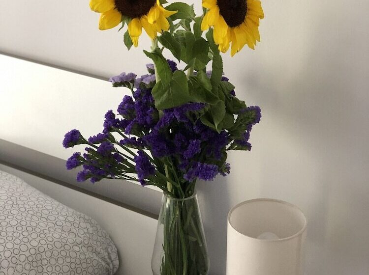 پانسیون Easyhomeinnaples