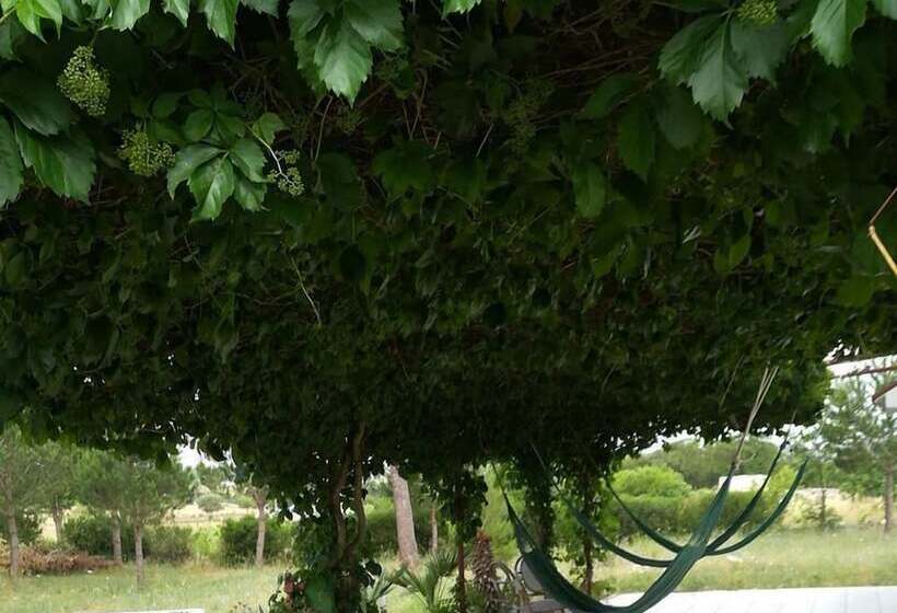 פנסיון Villa Due Trulli