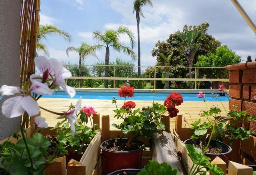 צימר Villa Carolea