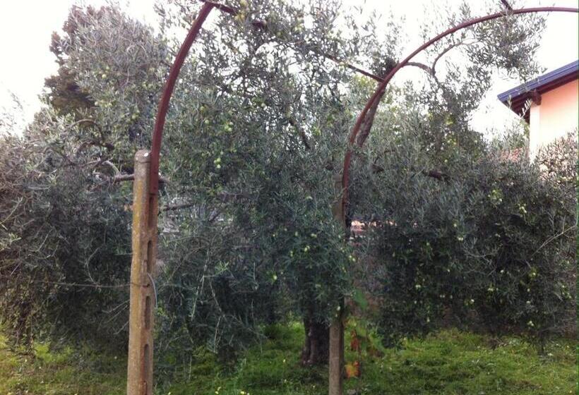 צימר Villa Carolea