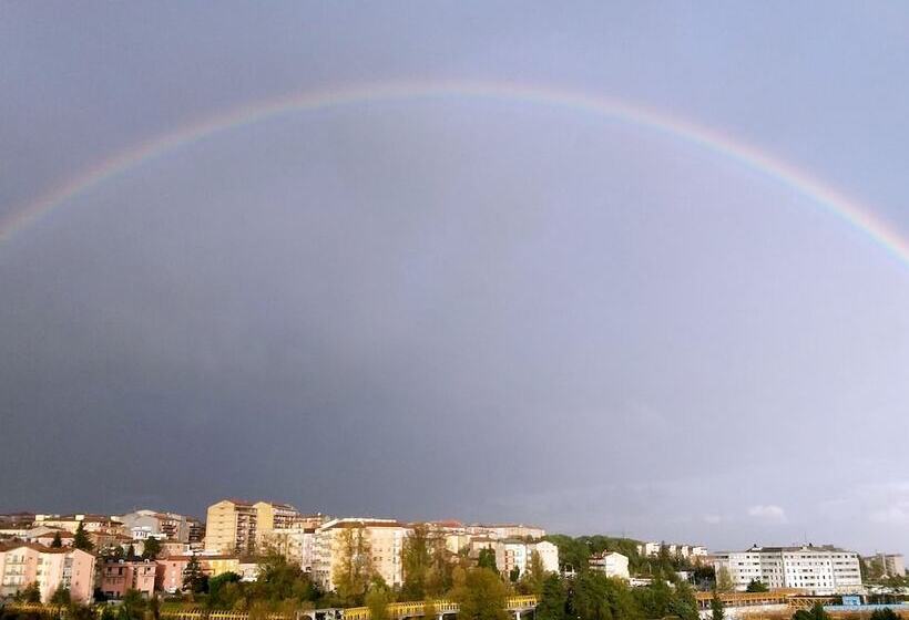 Flower Bed & Breakfast