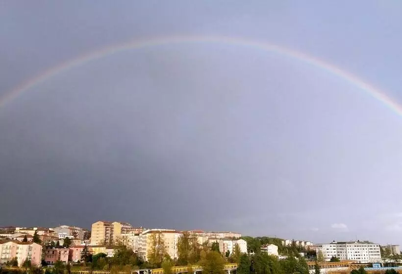 Flower Bed & Breakfast