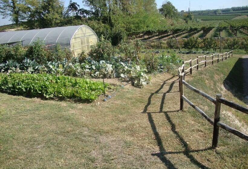 فندق ريفى Agriturismo Le Tese