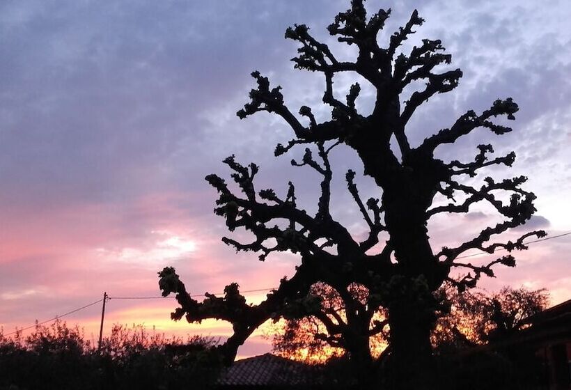 فندق ريفى Agriturismo Le Tese