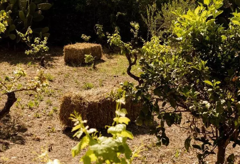 ペンション Casale Alle Vigne