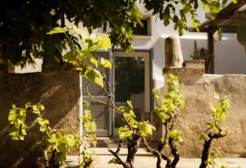 ペンション Casale Alle Vigne