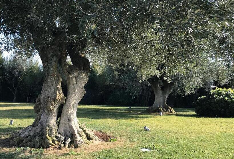 Relais Masseria Della Colomba   Agriturismo